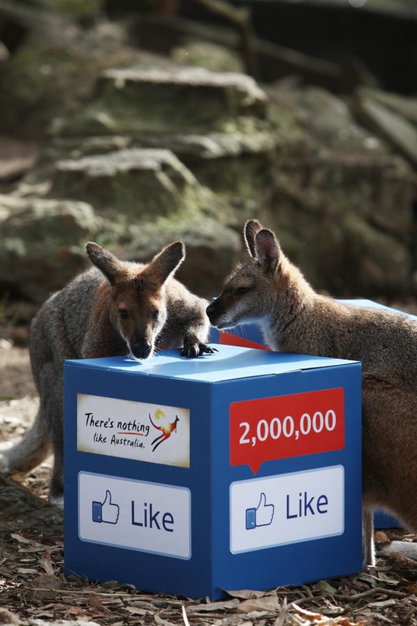 2 Million Likes – Tourism Australia