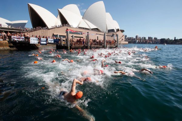 Sydney Harbour Swim Classic – Adam Wilson Events