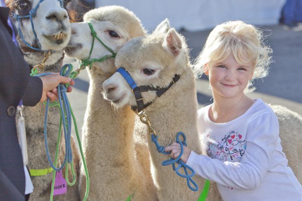 Royal Easter Show – Royal Agricultural Society NSW