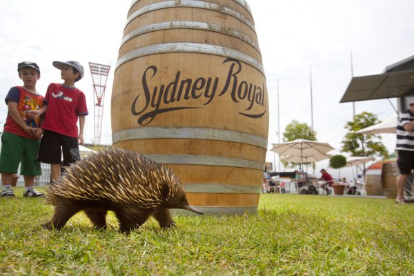Royal Easter Show – Royal Agricultural Society NSW
